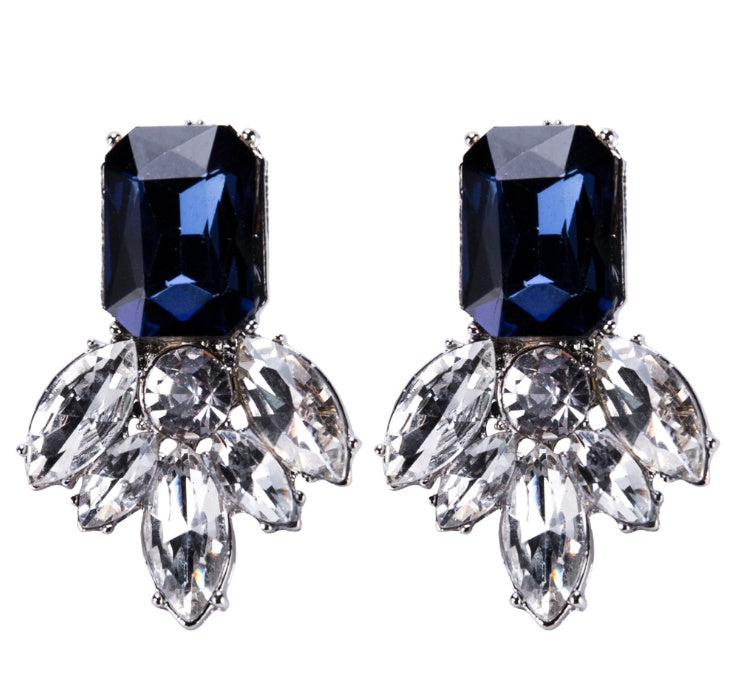 Earrings Jewelry
