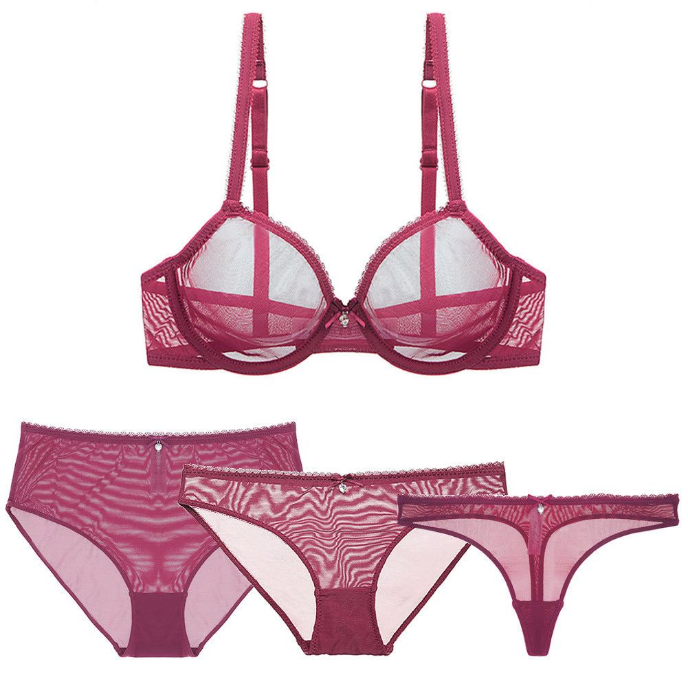 Mesh Bra Set 4 Pieces Set