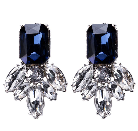 Earrings  Jewelry